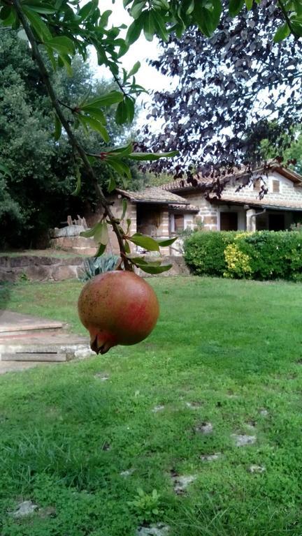 Agriturismo Casale Loreto Corchiano エクステリア 写真